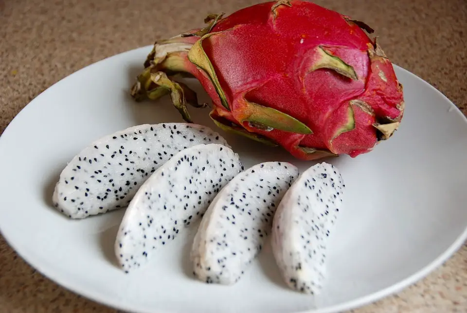 Dragon fruit