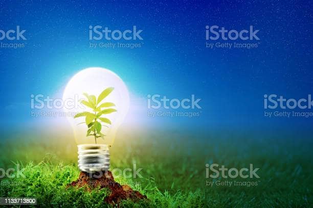earth hour day image