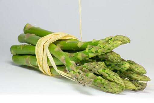 asparagus plants
