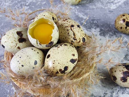 quail eggs