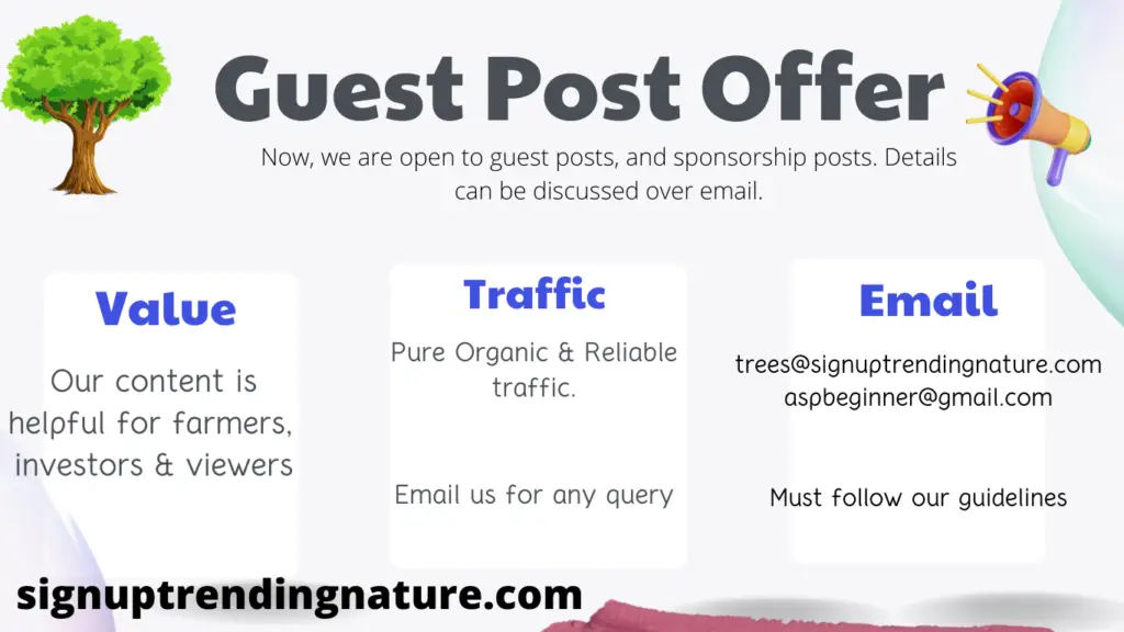guest post offer 1