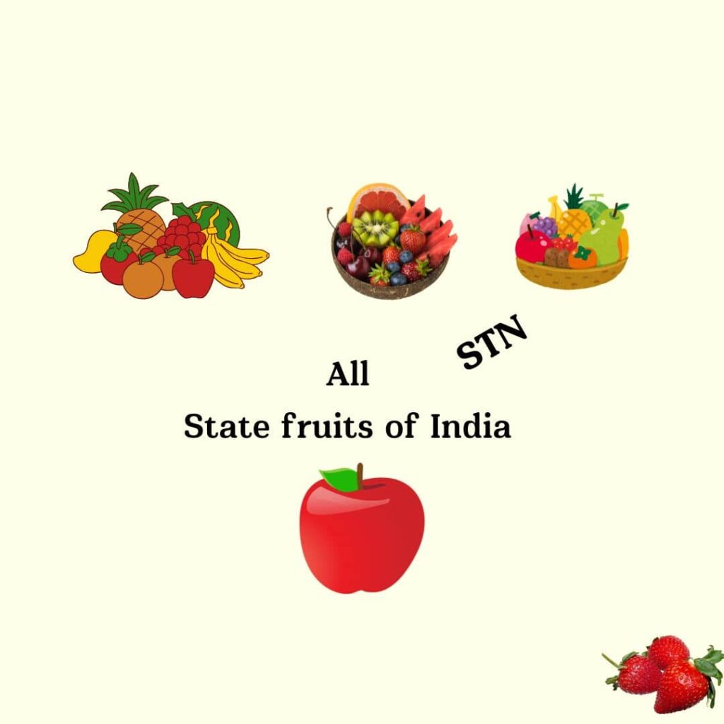 state fruits