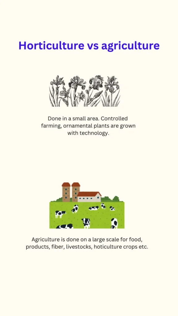 agriculture vs horticulture