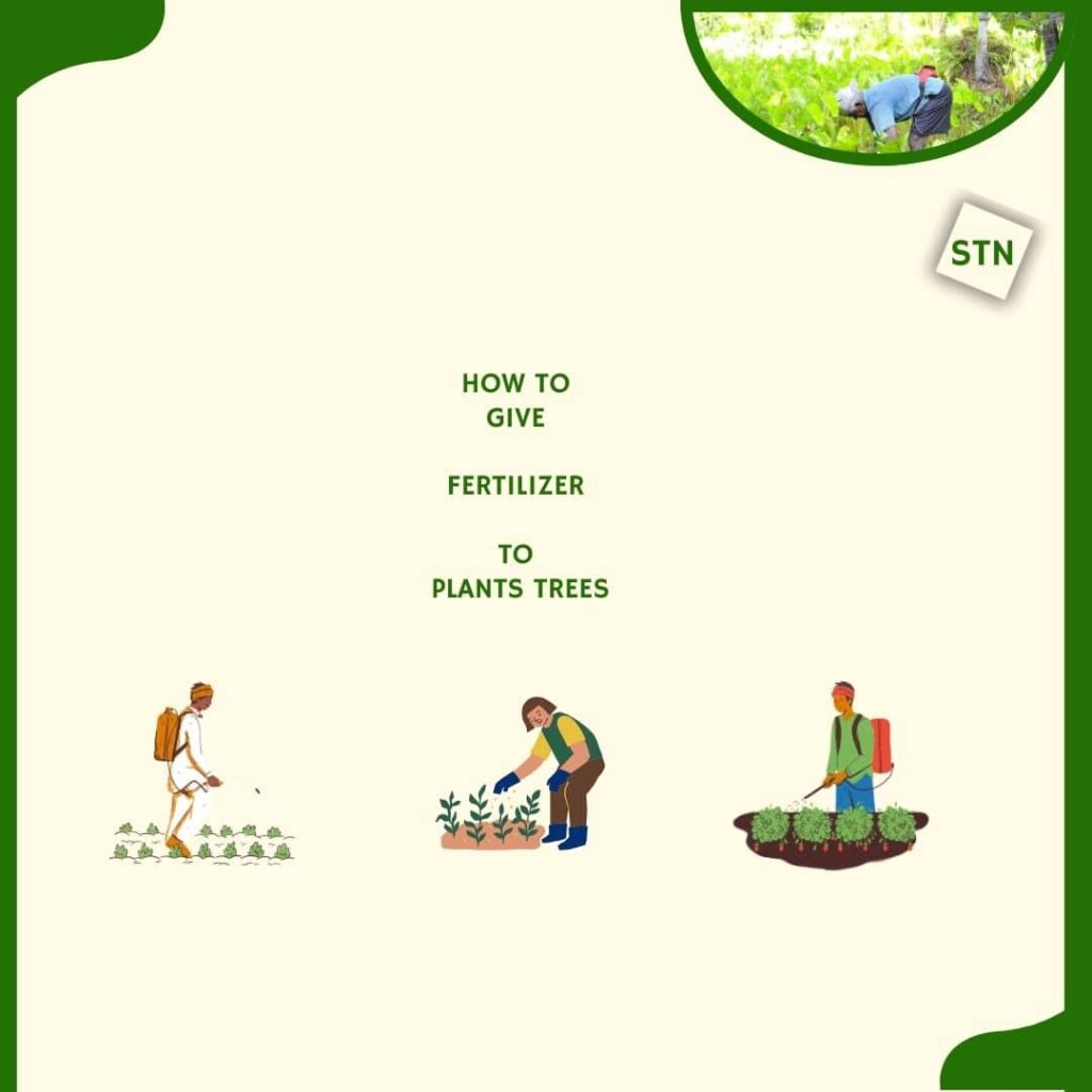fertilizer