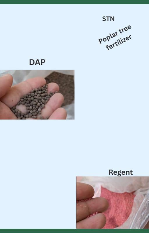 Poplar fertilizers
