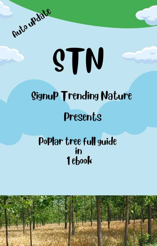 Poplar tree digital book