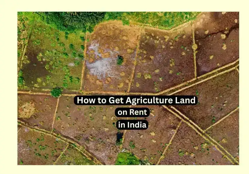 Agri land rent