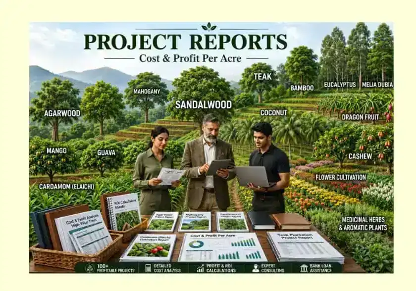 Project Reports agri