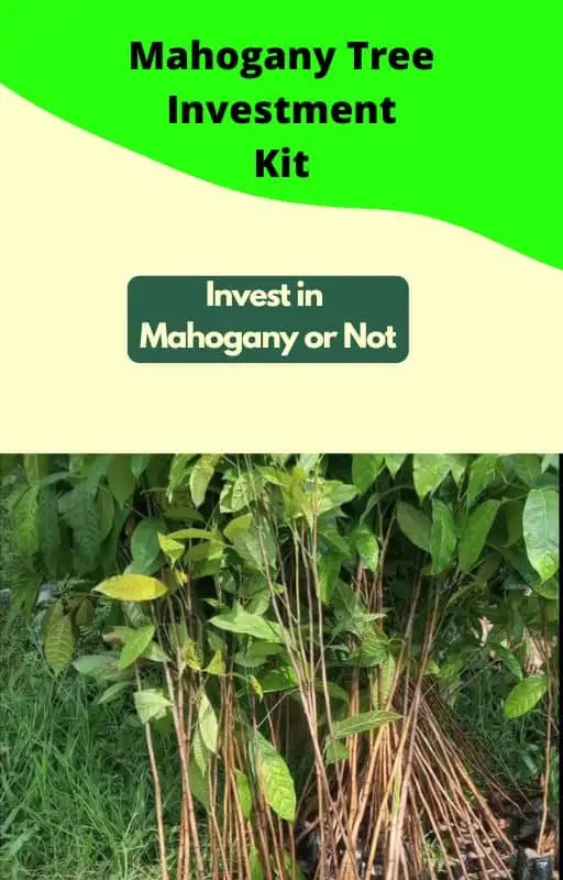 Mahogany Kit Mahogany kit
