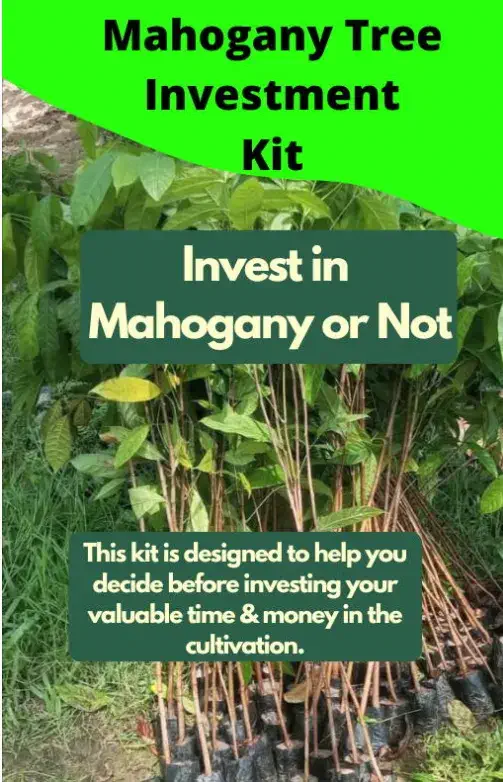Mahogany invest kit