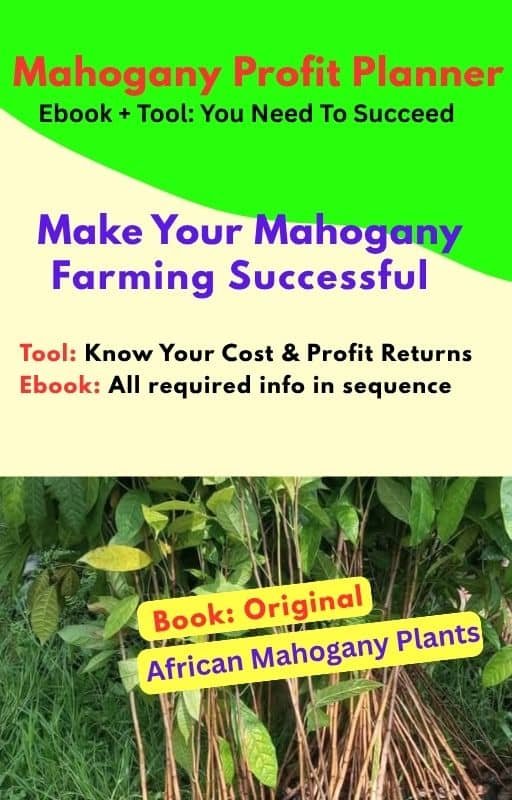 Mahogany Planner